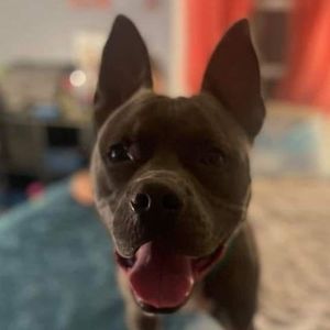 Meet your Posher, Todd